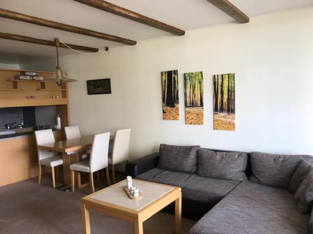 Panoramic Apartments Hohegeiß 외부 사진