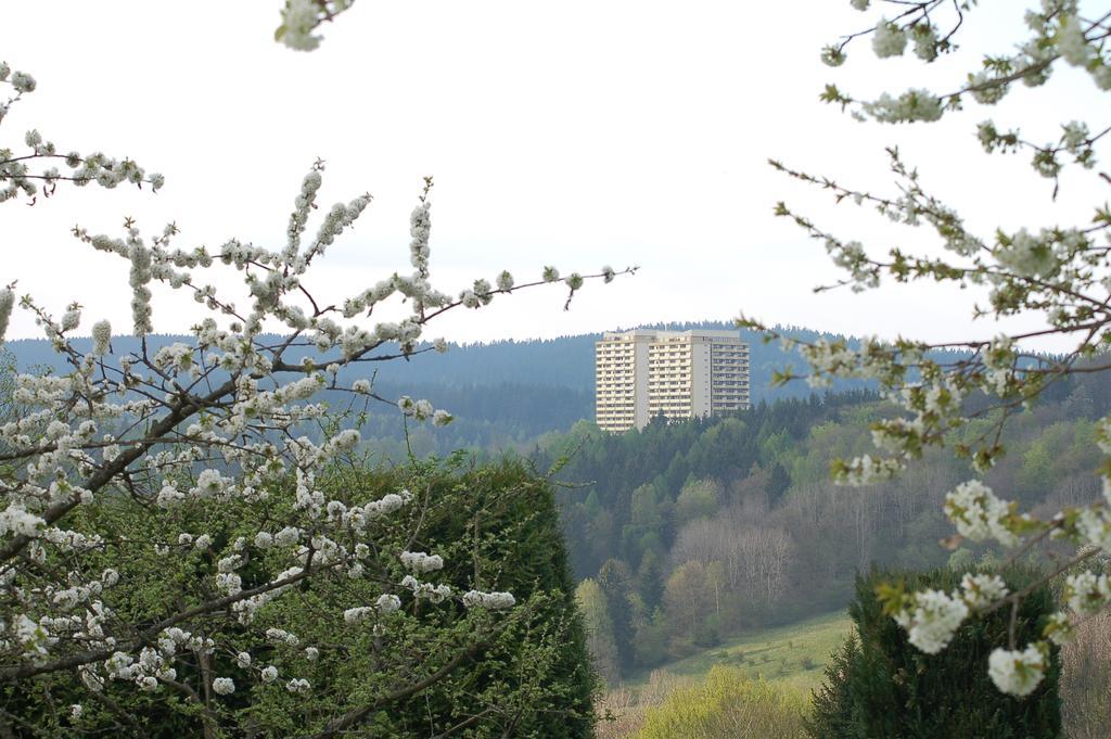 Panoramic Apartments Hohegeiß 외부 사진