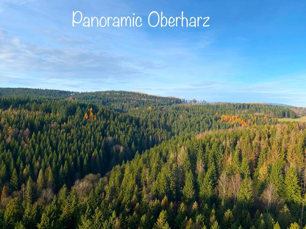 Panoramic Apartments Hohegeiß 외부 사진
