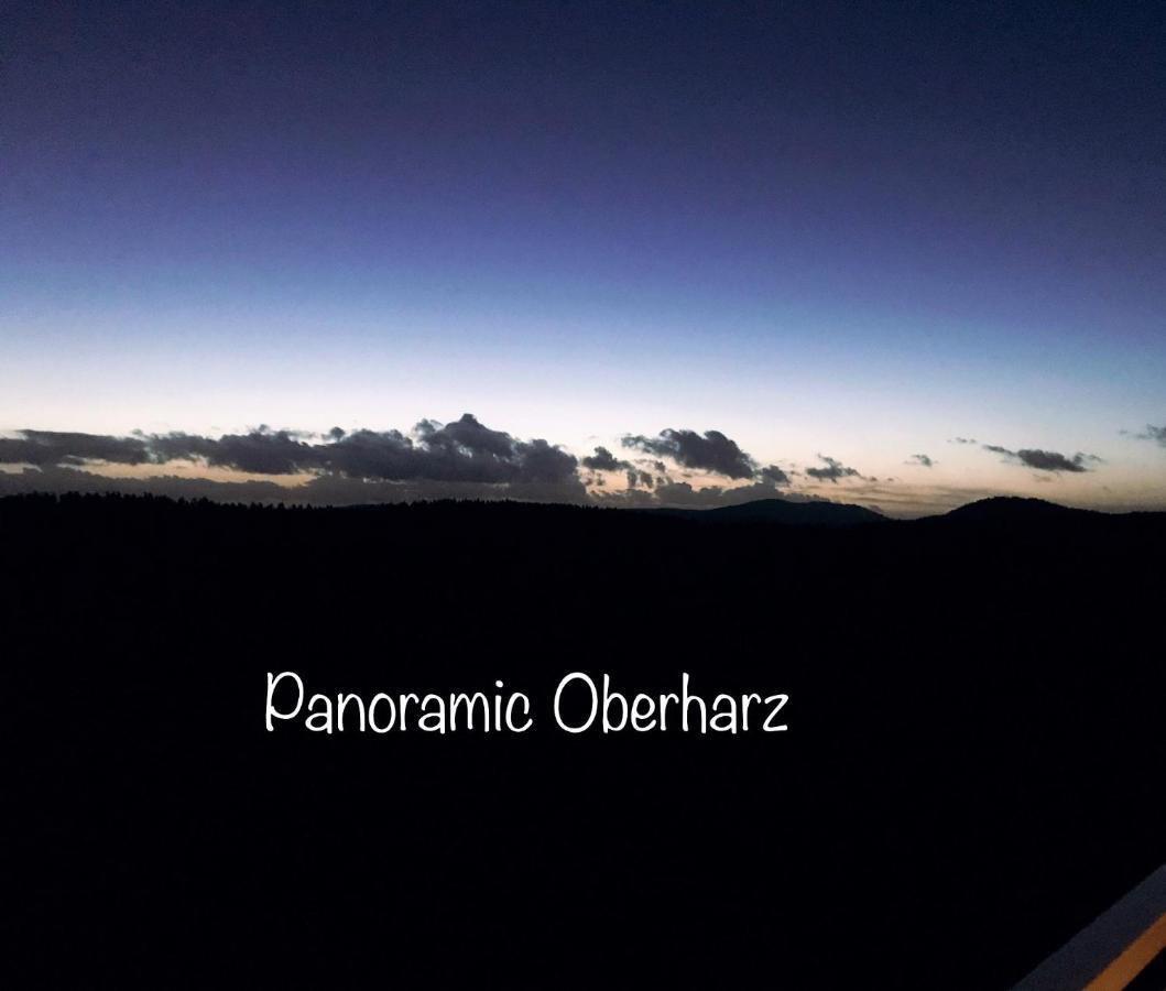 Panoramic Apartments Hohegeiß 외부 사진